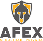 seguridad privada